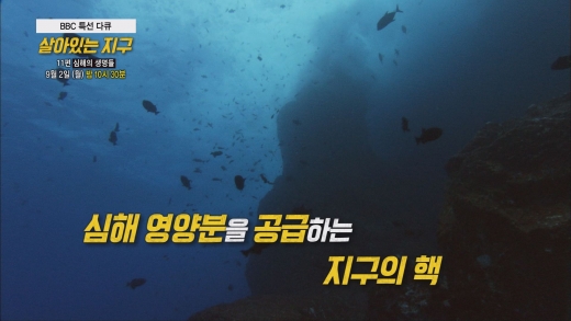 ©tbs TV