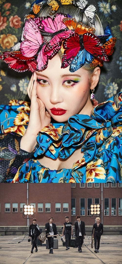 선미(위)와 원위(아래). /사진=SBS
