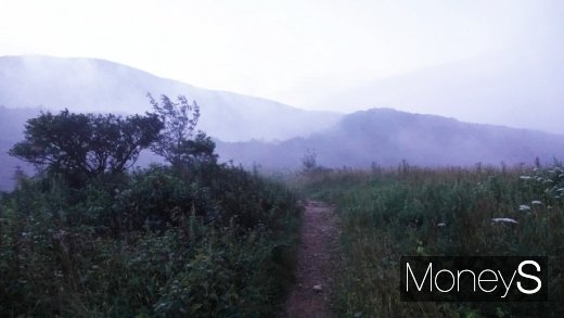 진고개 고위평탄면의 새벽길. /사진=박성기 여행 칼럼니스트