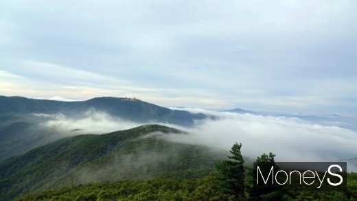 황병산 산허리를 넘는 구름. /사진=박성기 여행 칼럼니스트