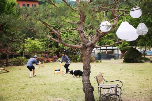 네이처스토리펜션. /사진=야놀자 제공  