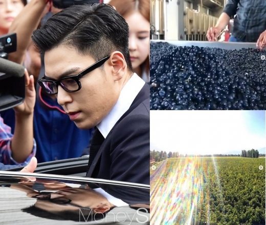 탑 와인농장. /사진=임한별 기자, 탑 SNS