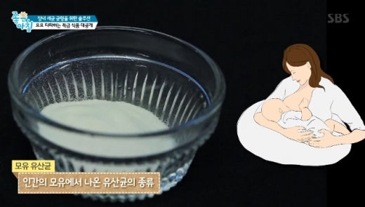 /사진=SBS '좋은아침' 방송화면 캡처