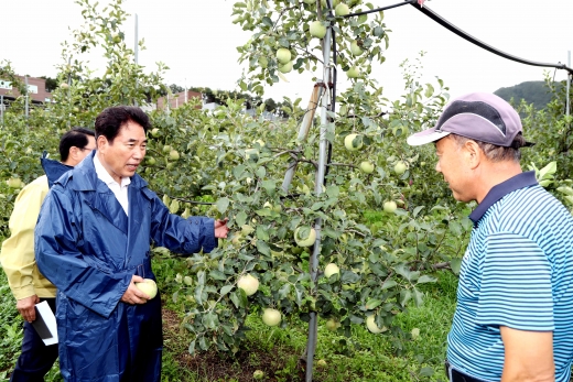 7일 과수농가 점검. / 사진제공=용인시