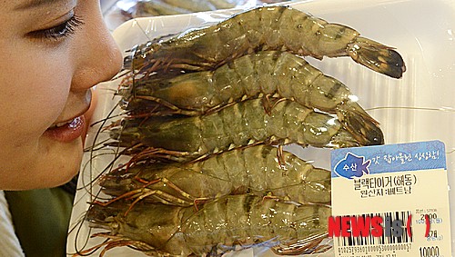 베트남산 새우./사진=뉴시스