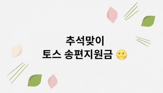 토스 송금지원금. /사진=토스 송금지원금 홈페이지 캡처   