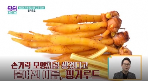 핑거루트. /사진=채널A '닥터 지바고' 방송화면 캡처