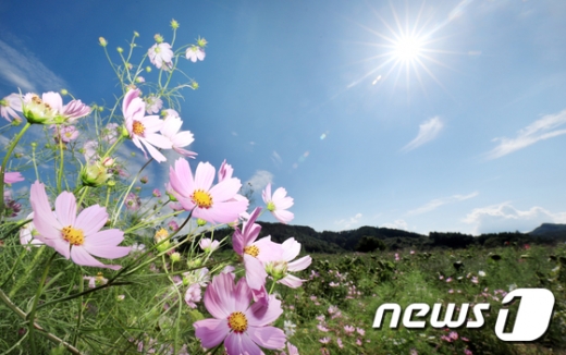 내일날씨. /사진=뉴스1