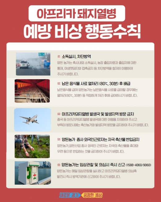 아프리카돼지열병 예방 비상 행동 수칙. / 자료제공=경기도