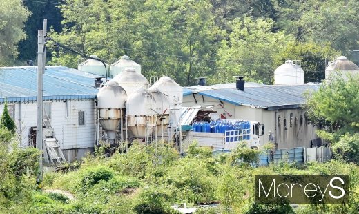 [머니S포토] 돼지 3950마리 살처분…