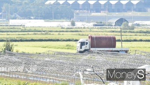 [머니S포토] 아프리카 돼지열병 1차 차단방역은 살처분