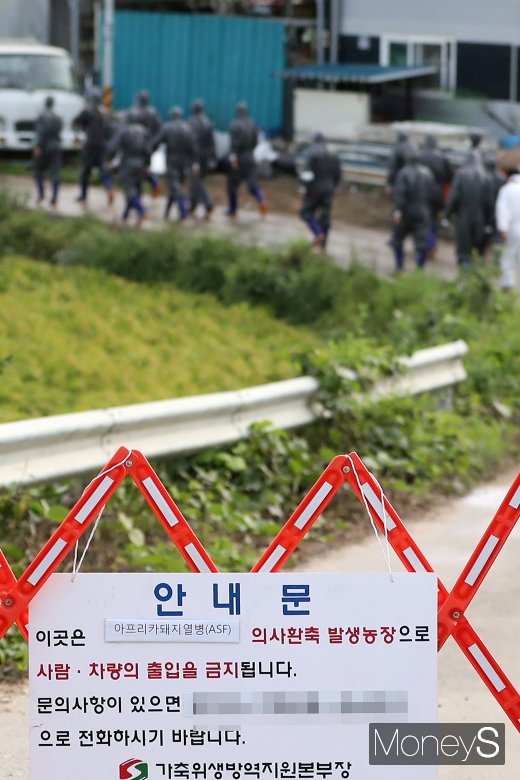 [머니S포토] 아프리카돼지열병, '사람-차량 출입을 금지합니다'