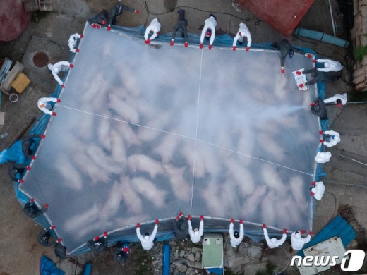 /사진=뉴스1