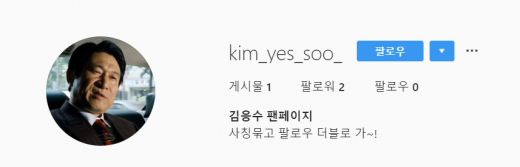 배우 김응수를 사칭한 인스타그램 계정 대신 새롭게 등장한 팬페이지 계정. /사진=인스타그램 캡처