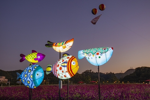 천일홍축제 야경. / 사진제공=양주시