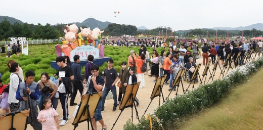 천일홍축제. / 사진제공=양주시