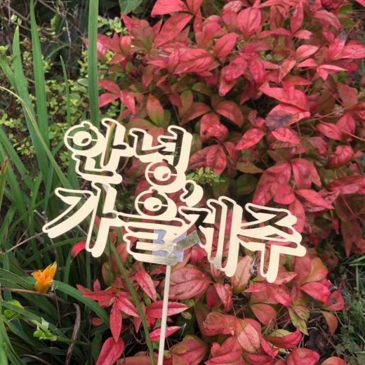©제주 항공우주 호텔
