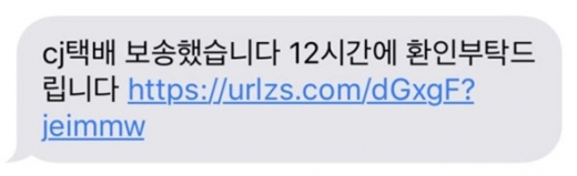 택배 보송 스미싱 문자. /사진=문자메시지 캡처