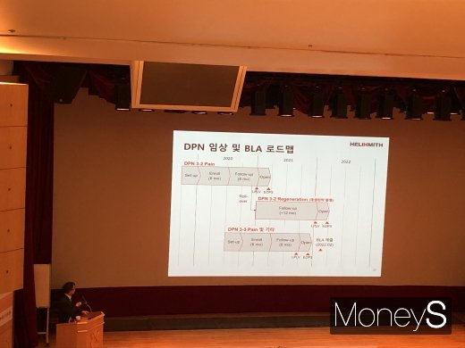김선영  헬릭스미스 대표가 여의도에서 미국임상3상 결과 발표를 미룬 이유에 대해 설명하고 있다./사진=한아름 기자