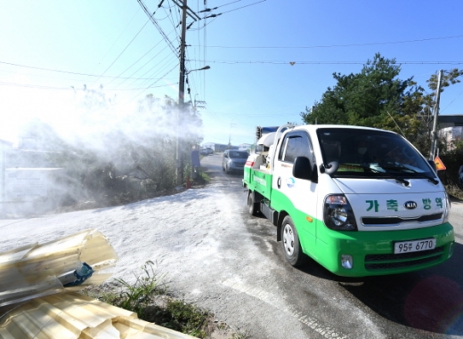 김포시가 아프리카돼지열병 발생 농장 등 반경 3km 이내 5농가 4189마리의 살처분을 25일 오전 8시에 완료했다. / 사진제공=김포시