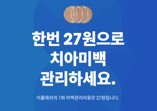 8억칫솔 이플래쉬. /사진=이플래쉬 홈페이지 캡처    