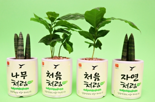 롯데주류, '처음처럼' 반려나무 입양 캠페인