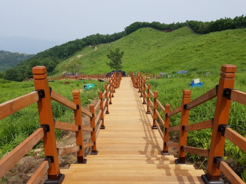 명성산 억새군락지 정비사업. / 사진제공=포천시