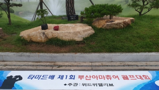 /사진제공=타미드