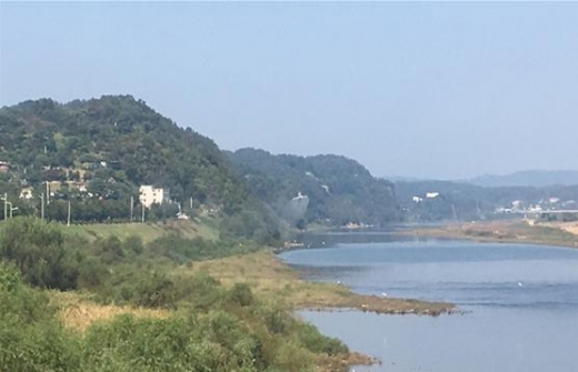 연천군 임진강 하천변 아프리카돼지열병 항공방제 실시