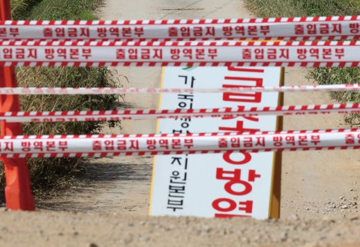 경기도 파주시의 한 양돈농가에서 아프리카돼지열병(ASF)이 발생해 방역당국이 출입을 통제하고 있다. /사진=뉴스1 DB