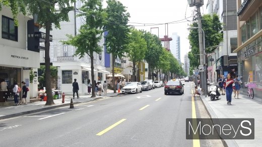 신사역 인근의 가로수길. /사진=김창성 기자