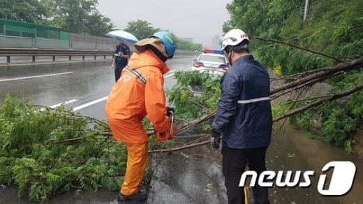 내일날씨. /사진=뉴스1
