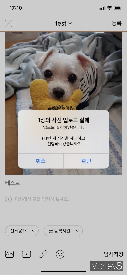 1일 싸이월드에 서버 오류가 발생했다. /사진=박흥순 기자