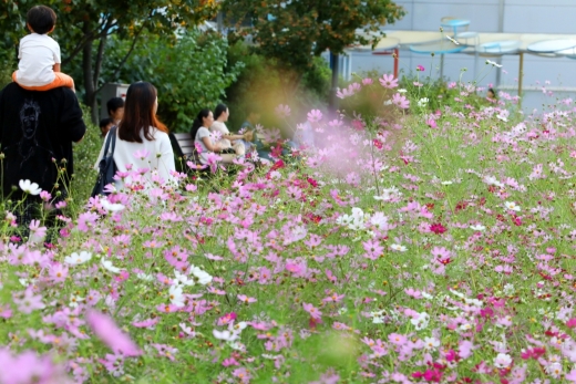 5일 오후 기온이 평년 수준을 회복하면서 본격적인 가을날씨가 시작되겠다. /사진=뉴스1