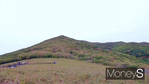곰배령 정상과 천상화원. /사진=박성기 여행 칼럼니스트