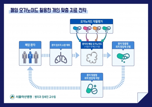 폐암 오가노이드 활용한 개인 맞춤 치료 전략./사진=서울아산병원
