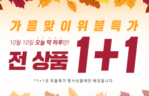 위블리즈 콩블리 원플원. /사진=위블리즈 홈페이지 캡처     