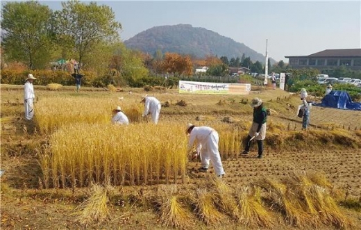 도시농부 체험마당. / 사진제공=시흥시