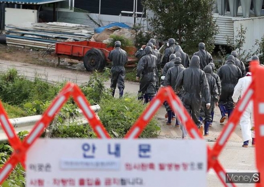 아프리카돼지열병(ASF)이 국내 첫 발생한 17일 방역당국이 경기도 파주시 발생 농가에서 돼지를 살처분하기 위한 조치에 나섰다. / 사진=머니S 임한별 기자.