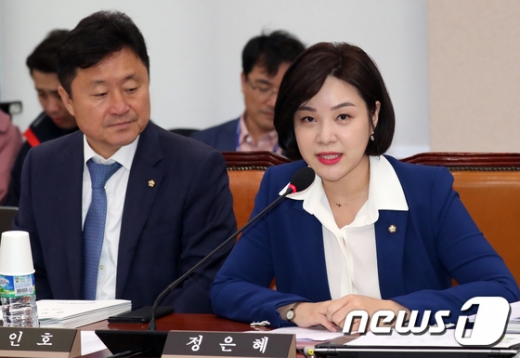 정은혜 더불어민주당 의원(오른쪽)이 14일 이수혁 주미대사로부터 국회의원직을 승계받은 뒤 처음 참석한 국회 산업통상자원중소벤처기업위원회 국정감사에서 인삿말을 하고 있다. /사진=뉴스1