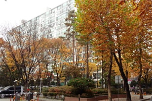 [주목! 경매물건] 주엽동 134.8㎡ 5억에 시작