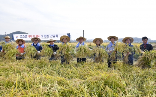 호조벌 벼베기 행사. / 사진제공=시흥시