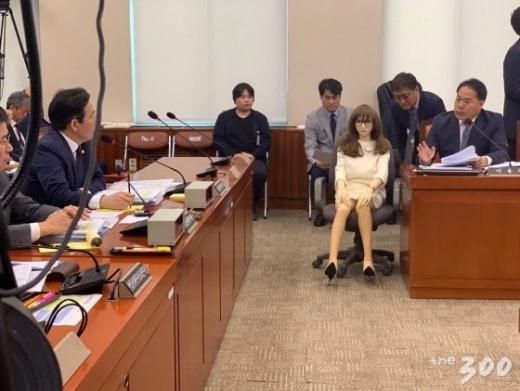 리얼돌 국정감사장 등장. /사진=머니투데이       
