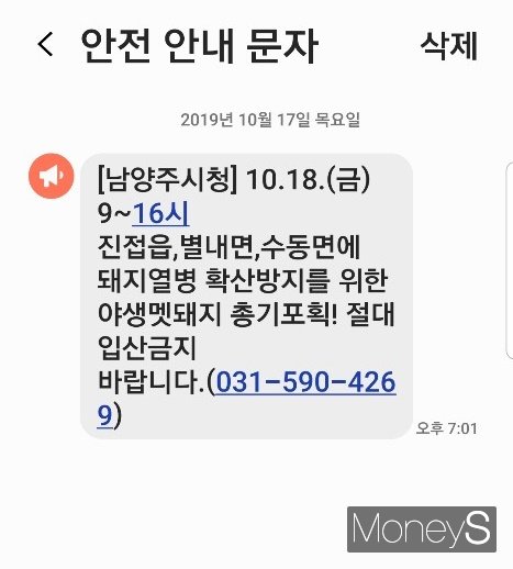 남양주 야생멧돼지 총기포획 안내문자. /사진= 독자 제공