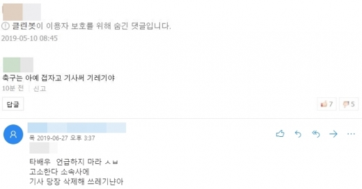 악플. /사진=제보 기자 제공  