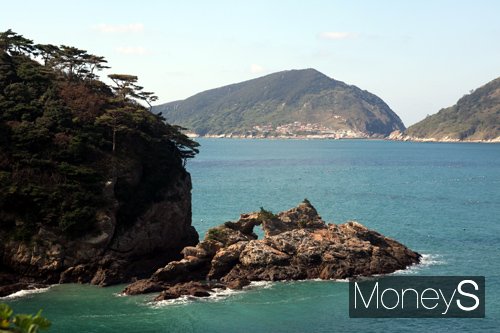 한반도 지도 바위. /사진=홍기철 기자