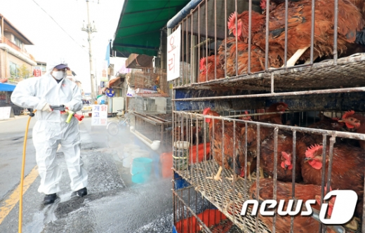 충남 아산에서 조류독감 항원이 검출된 21일 방역당국 직원이 한 양계농장을 방역하고 있다. /사진=뉴스1