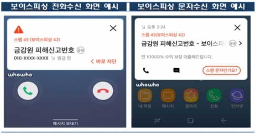 /자료=금융감독원