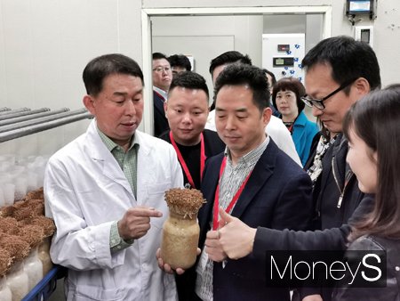 최근 중국 쓰촨성 훠궈협회 10개 회원사가 충북도 농업기술원이 개발한 신품종 갈색 팽이버섯을 살펴보고 있다./사진제공=aT