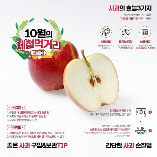 한국인이 가장 사랑하는 과일 ‘사과’, 지금 맛보세요